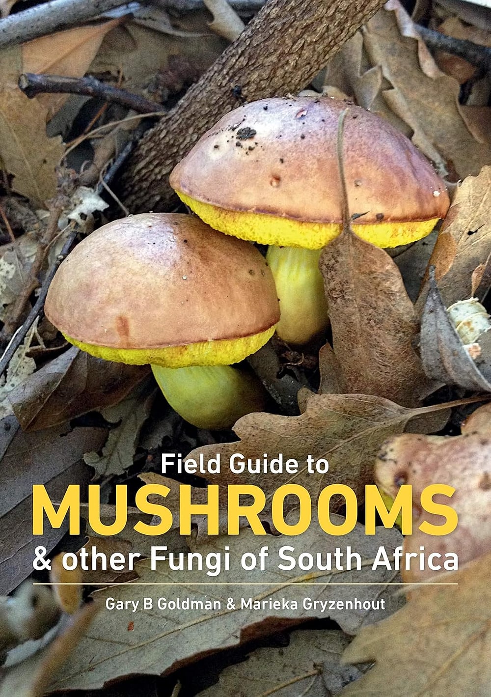 Field Guide to Mushrooms & other Fungi of South Africa, by Gary B Goldman & Marieka Gryzenhout