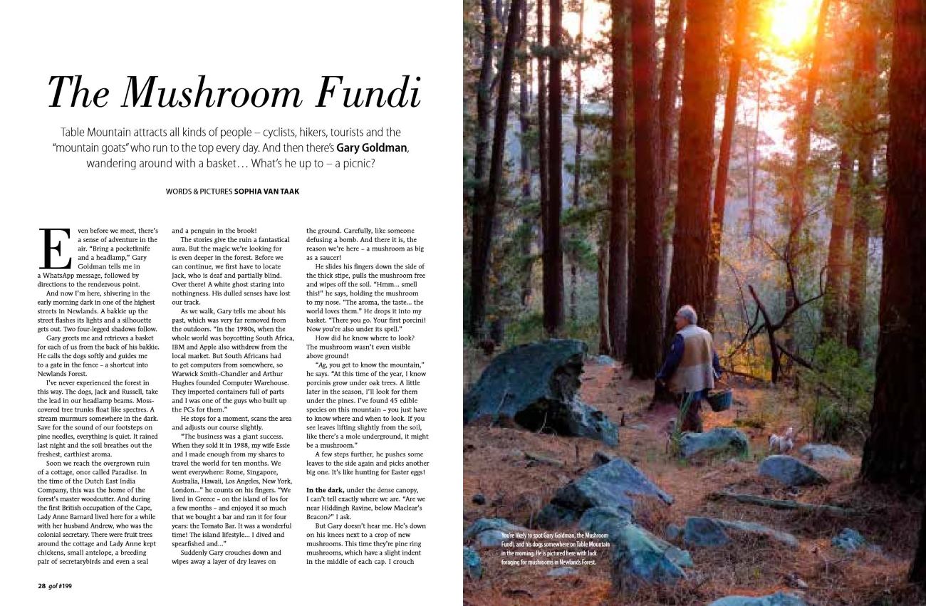 Opening spread of the go! magazine feature, headlined The Mushroom Fundi, with a photograph of Gary walking through Newlands Forest at sunrise carrying a basket.