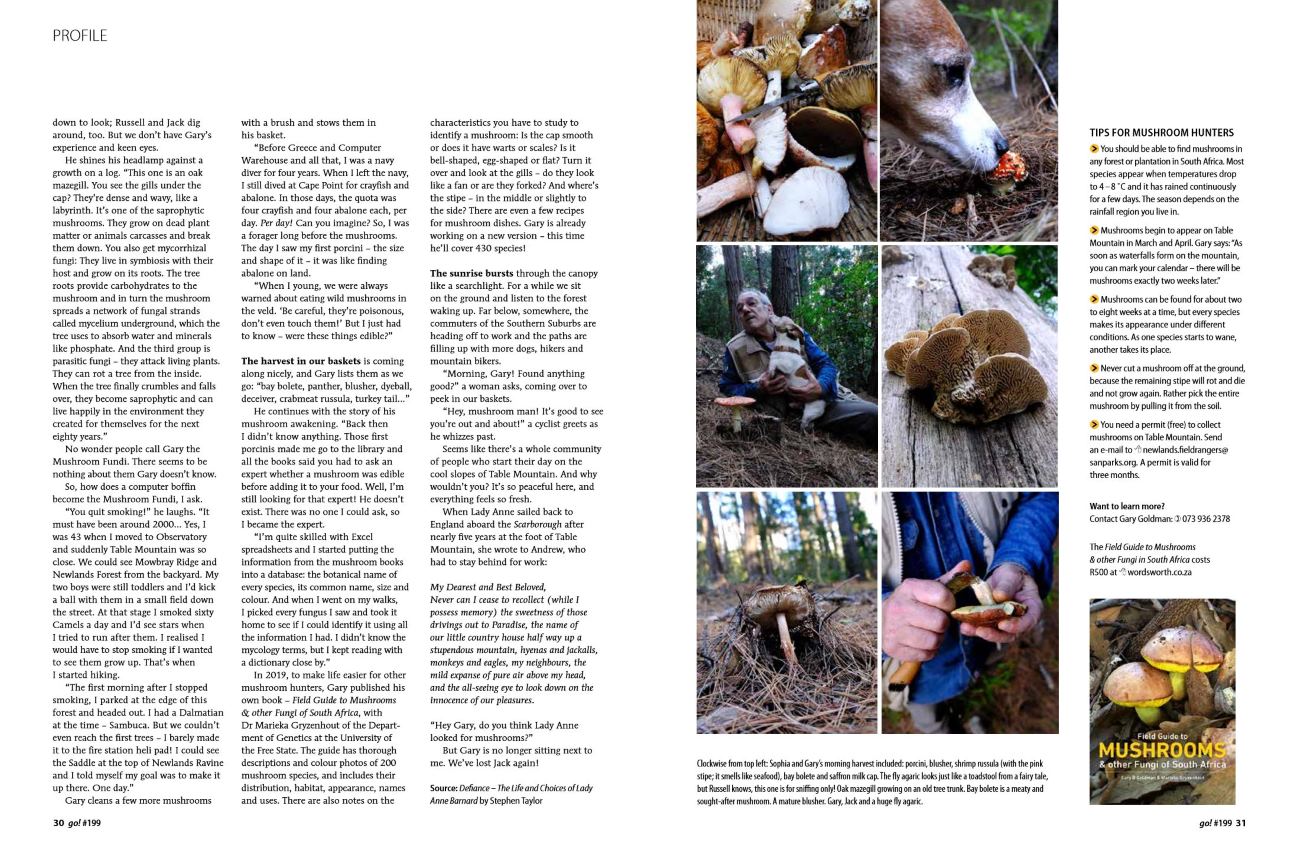 Second spread of the go! magazine feature, with the rest of the article, photographs of the morning's harvest, and a panel of tips for mushroom hunters.